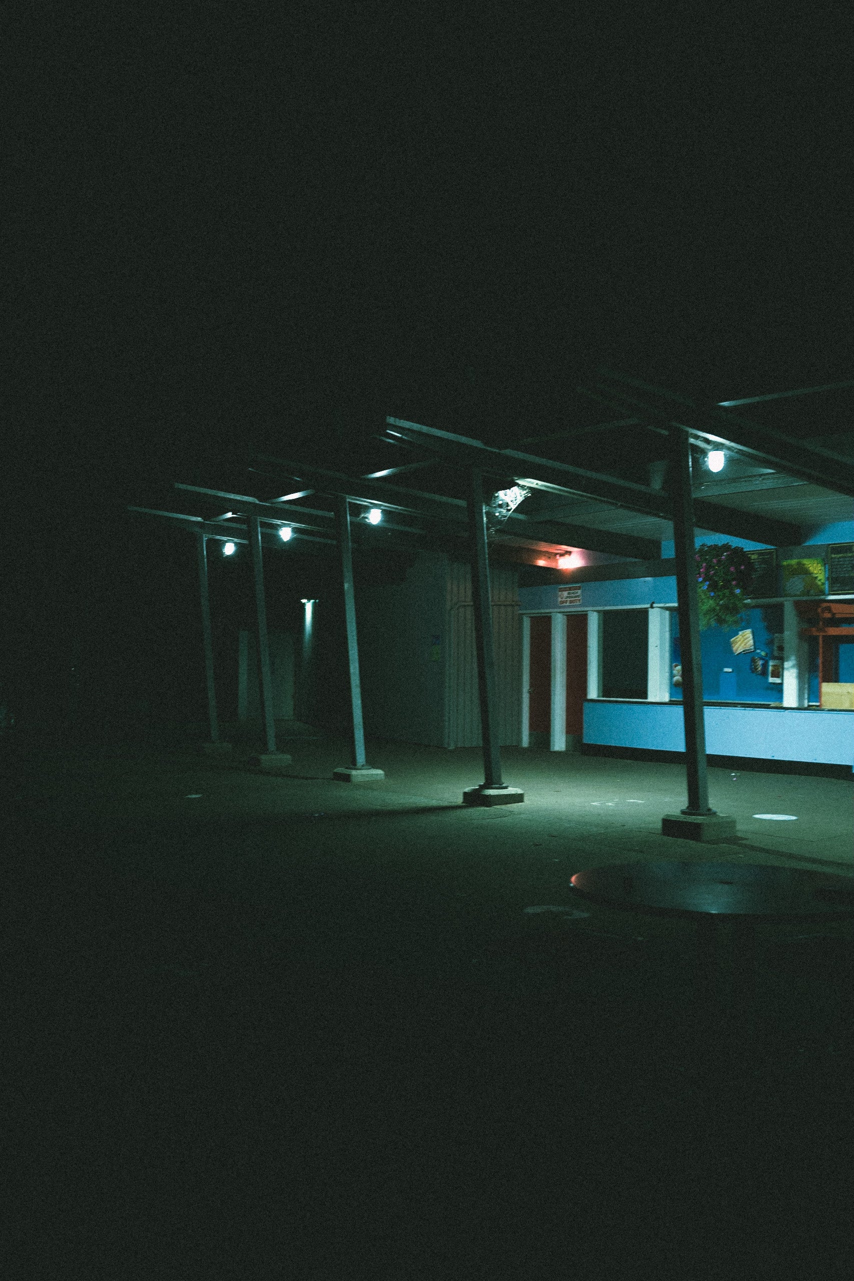 Under the Canopy Lights | Vancouver, BC | Aug 2023