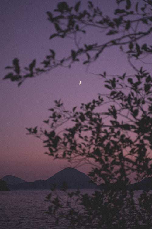 A Chesire Moon | Vancouver, BC | Aug 2023