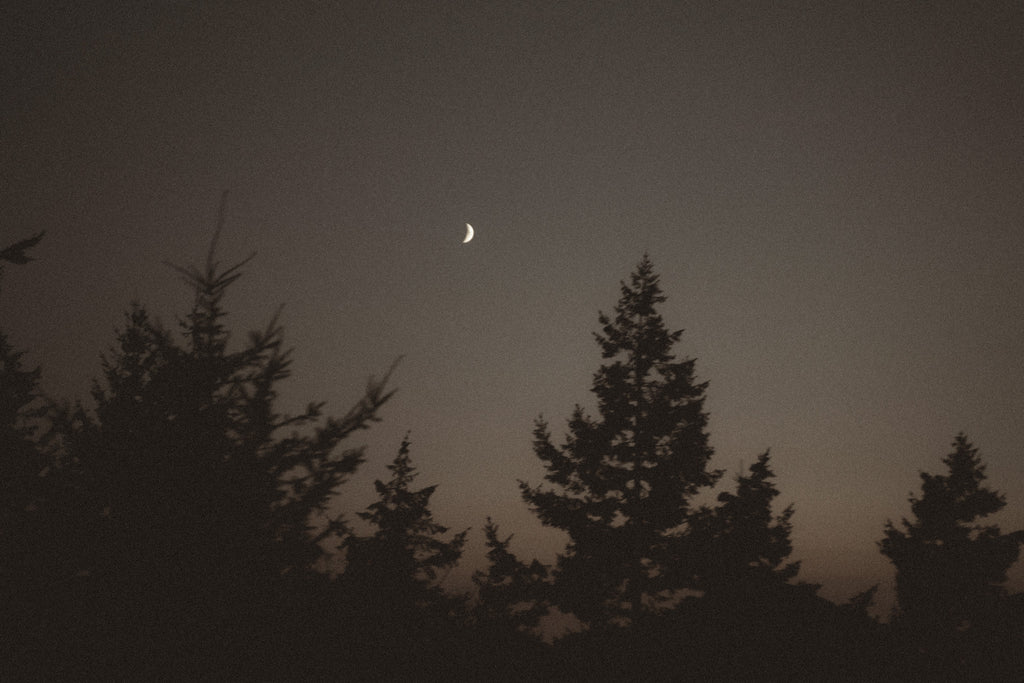 Under the Dark Moon | Vancouver, B.C | Aug 2023