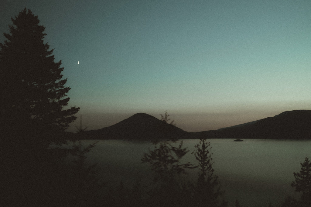 Ambiance by the Shore | Vancouver, B.C | Aug 2023